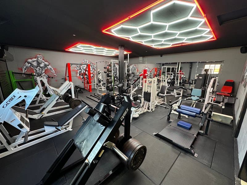 Real Strength Gym - Havant, Rowlands Castle — gyms in Fareham