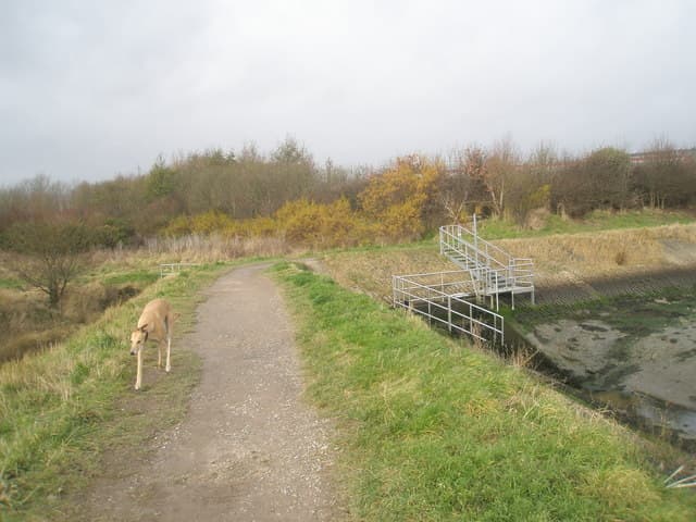 Coastal path from Hamilton Road, Fareham, along the harbour shore