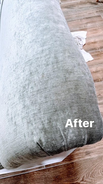 The Carpet & Upholstery Cleaners